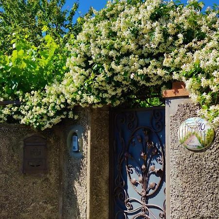 La Primavera アナカプリ エクステリア 写真
